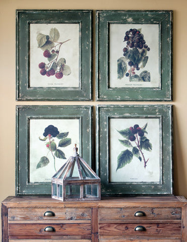 Framed Berry Prints