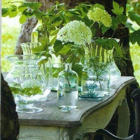 From the Garden